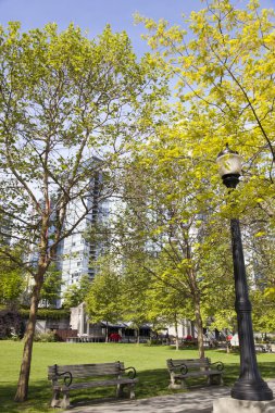 Vancouver'da İlkbahar