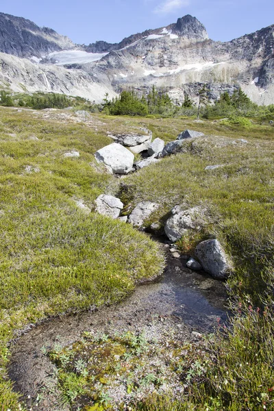Alaskan wenig streamen — Stockfoto