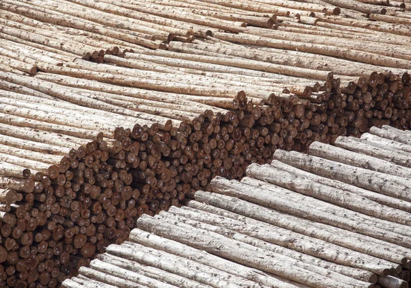 Astoria Timber Industry — Stock Image Astoria Timber Industry Stock Picture