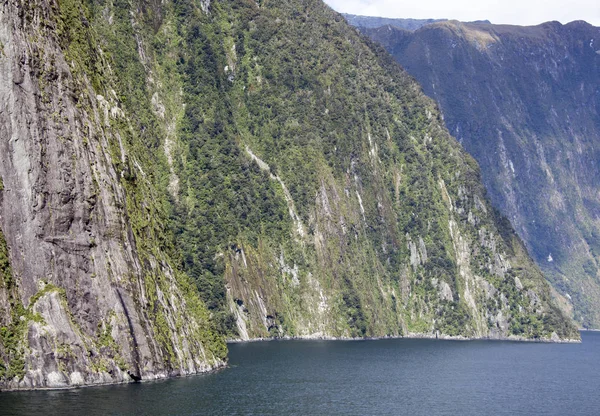 Litorale di Milford Sound — Foto Stock