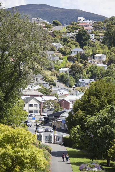 Dunedin mieszkalnych Hills — Zdjęcie stockowe