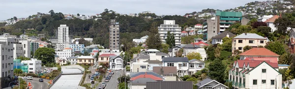 Wellington Residential Panorama — Stock Photo, Image