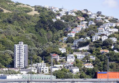 Bir tepe üzerinde Wellington