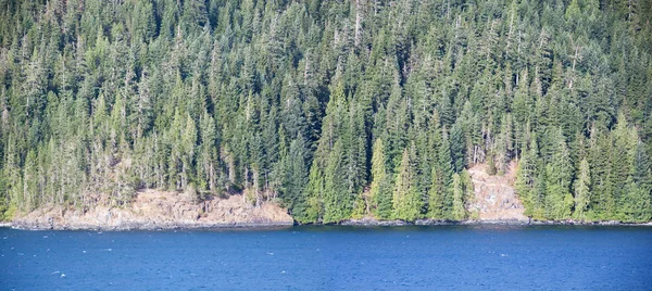 Canadese woud Panorama — Stockfoto