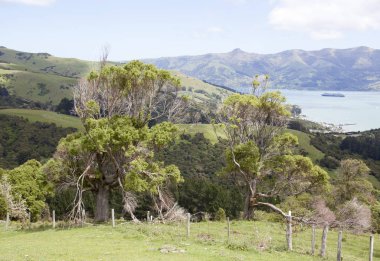 Akaroa kırsal manzara