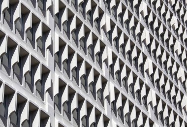Auckland City Windows