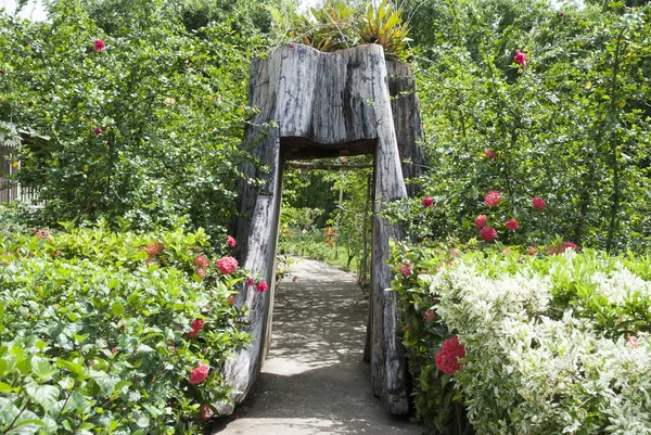 Belize tuin Arch — Stockfoto