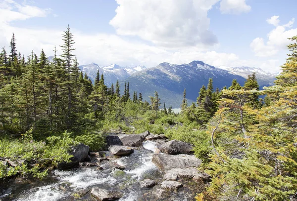 Alaska dağ dere — Stok fotoğraf