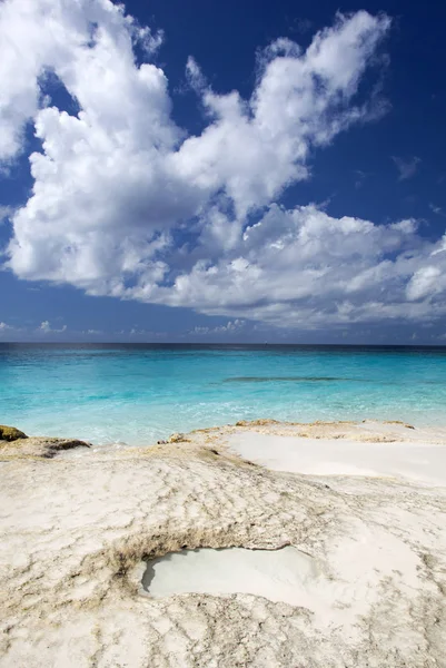 Карибський кам'янистий пляж — стокове фото
