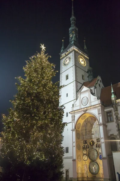 Vánoční strom a radnice — Stock fotografie
