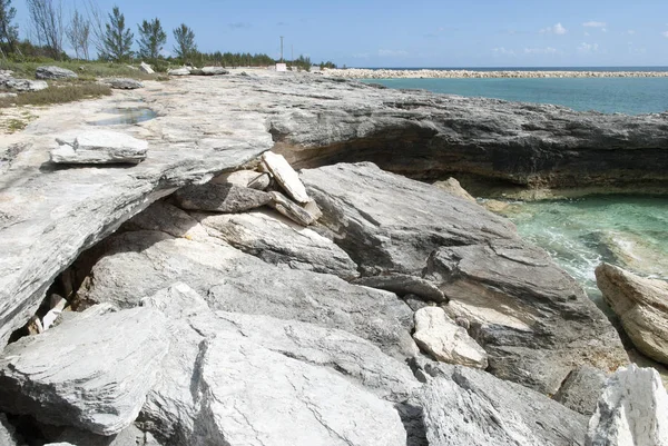 Eroded Bahamian Beach — Stock Photo, Image