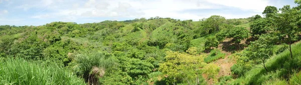 罗阿坦岛全景 — 图库照片