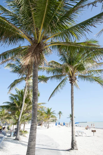 Key West plaże — Zdjęcie stockowe