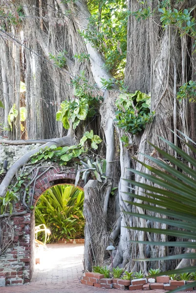 Key West ogród — Zdjęcie stockowe