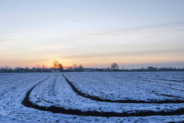 Campo após o pôr do sol — Fotografia de Stock