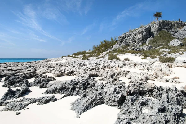 バハマの岩のビーチ — ストック写真