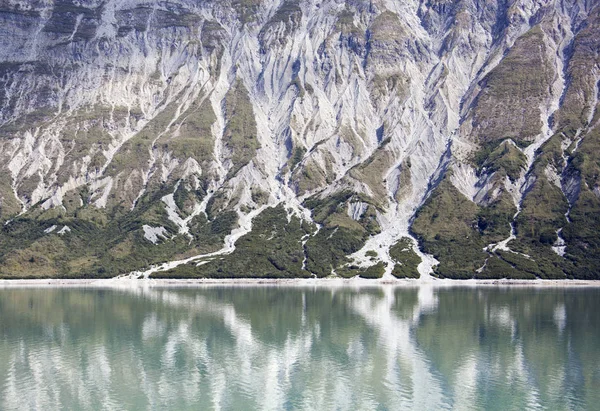 Glacier Bay Shore — Stockfoto