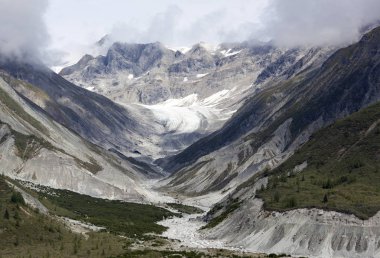 Glacier Bay manzara