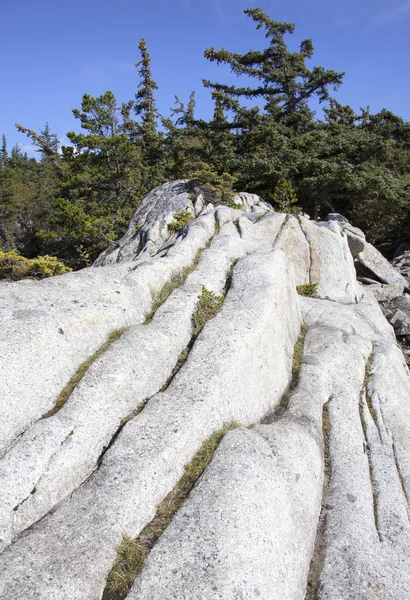 Les modèles rocheux de l'Alaska — Photo