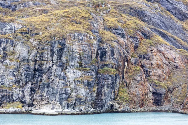 Los colores otoñales de Alaska — Foto de Stock