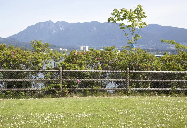 Primavera em vancouver — Fotografia de Stock