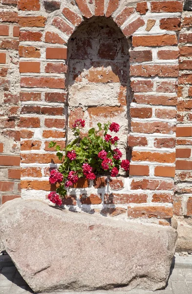 Gotische Kirchenblumen — Stockfoto