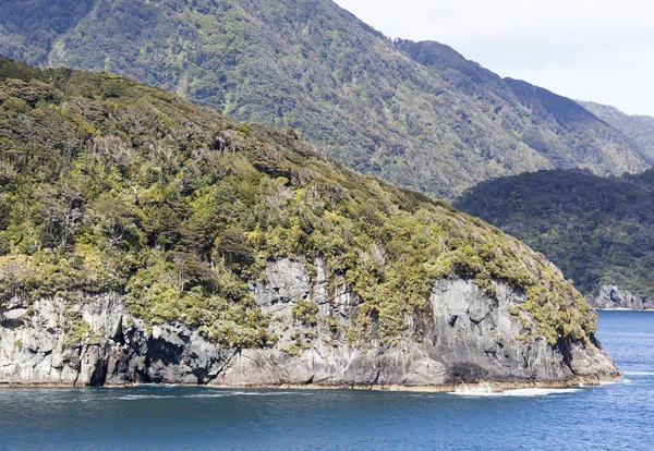 Fiordland Park Costa — Foto Stock