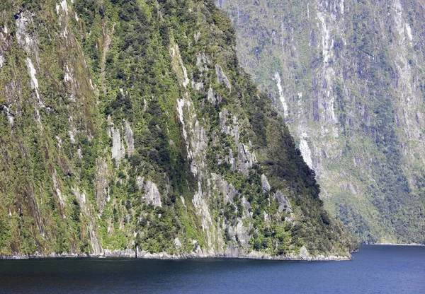 New Zealand's Fjords — Stock Photo, Image
