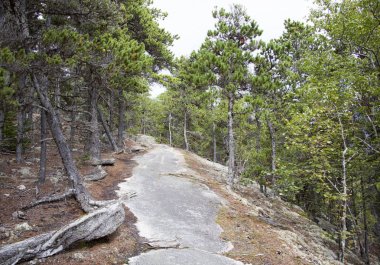 Alaskan Hiking Trail