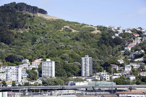 Wellington Nothern Suburb — Stock Photo, Image