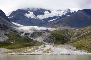 Glacier Bay manzara