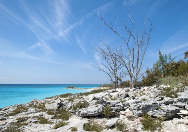 Karayipler ada manzara