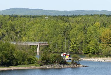 Kanada'nın banliyösü manzara