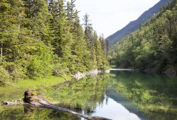 Lago Icy dell'Alaska — Foto Stock