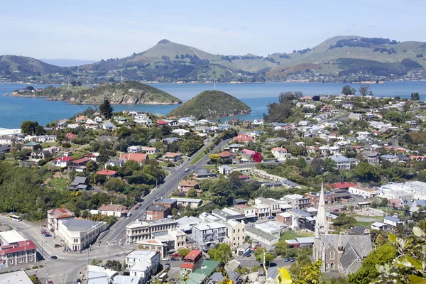 Нова Зеландія передмістя — стокове фото