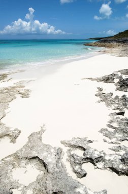 Karayip plaj manzara