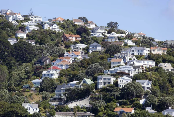 Wellington Northern Suburb — Stock Photo, Image