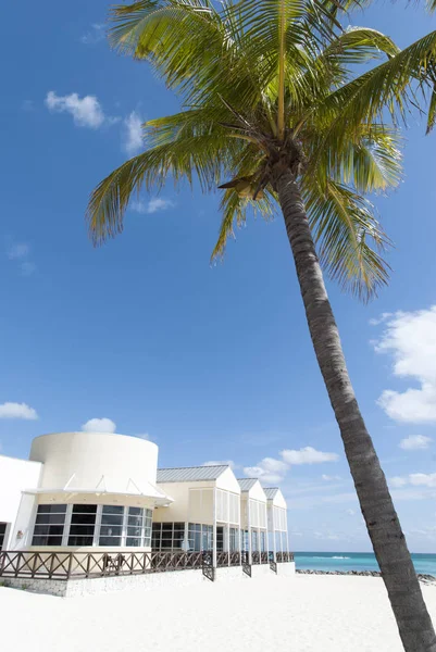 Grand Bahama Beach — Stock fotografie