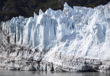 Glacier Bay manzara
