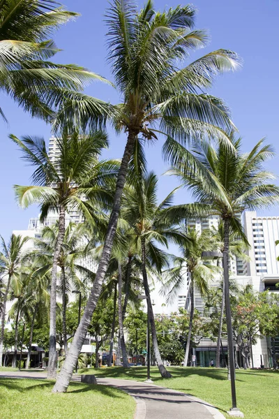 Parque del distrito de Waikiki — Foto de Stock