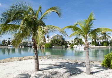 Yeni Providence Island tatil