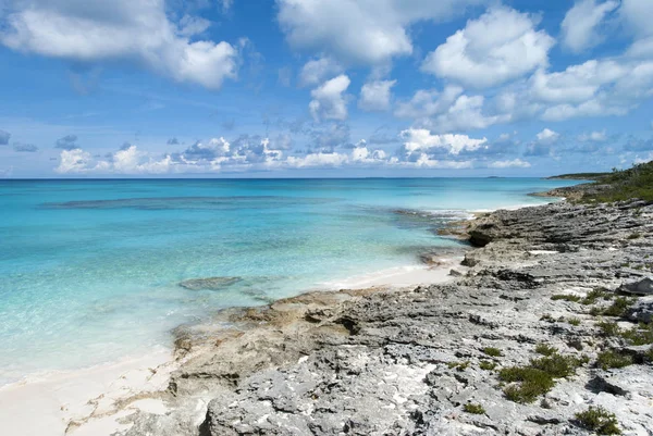 カリブ海の岩の多い海岸線 — ストック写真