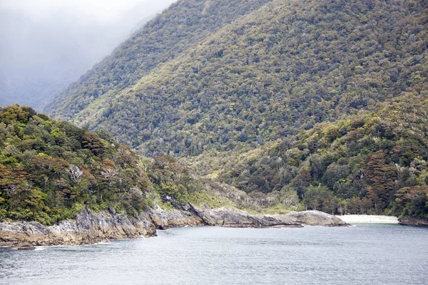 Fiordland Park Landscape — Stock Photo, Image