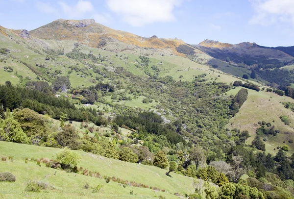 New Zealand's Countryside — Stock Photo, Image