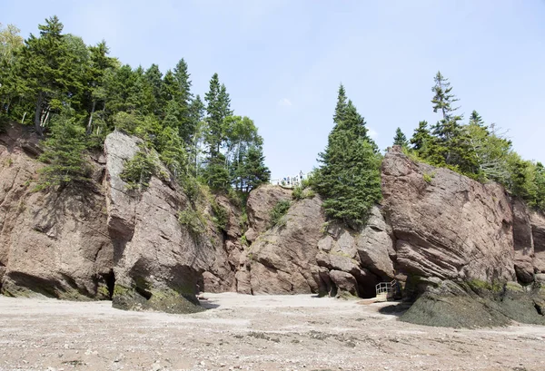 Hopewell Rocks Park — Stock Photo, Image