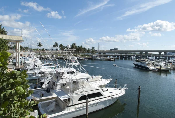 Miami Marina jachten — Stockfoto