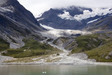 Glacier Bay dağlar