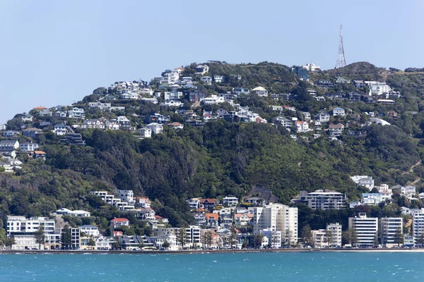 Wellington City Suburbio — Foto de Stock