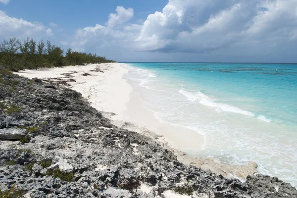 Caribbean Empty Beach — Stock Photo, Image