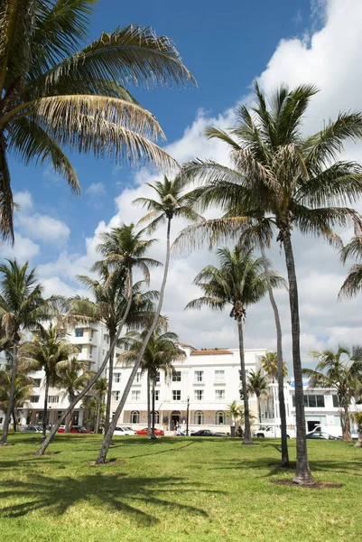 Miami Beach park — Stok fotoğraf